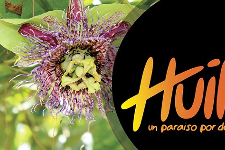 Bienvenidos al Huila