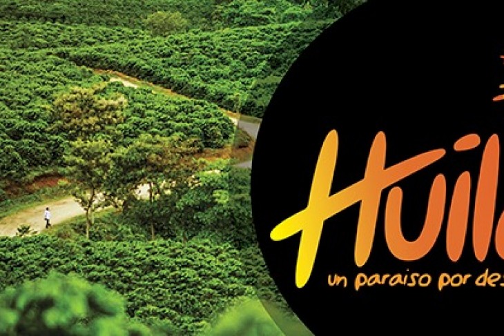 Paisaje cafetero