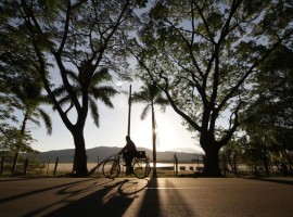 Laguna El Juncal - Municipio de Palermo