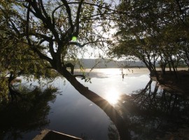 Laguna el Juncal - Municipio de Palermo