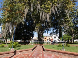 Parque central de Saladoblanco