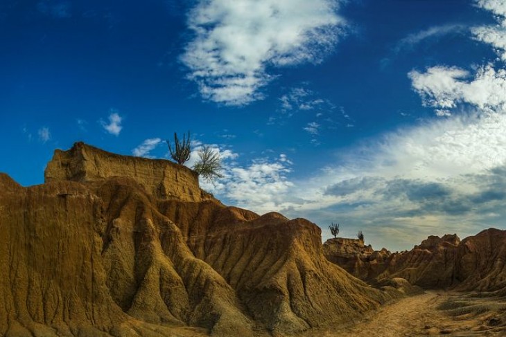 El Cuzco, desierto de la Tatacoa - Municipio de Viillavieja