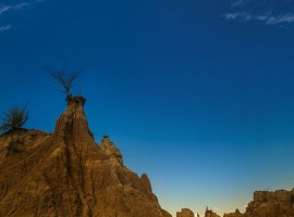 El Cuzco, desierto de la Tatacoa - Municipio de Viillavieja