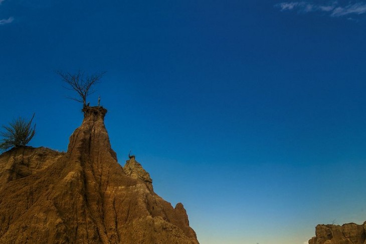 El Cuzco, desierto de la Tatacoa - Municipio de Viillavieja