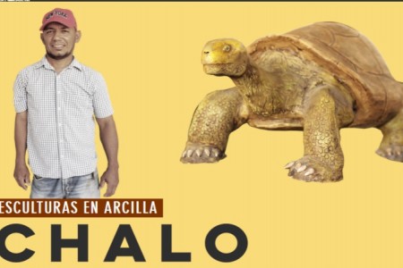 Image Alternative text