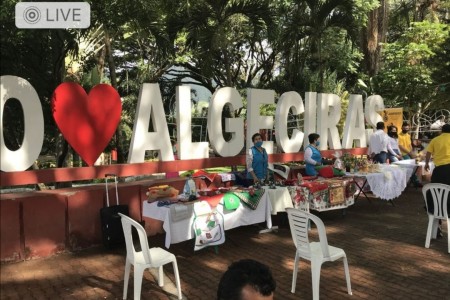 Image Alternative text