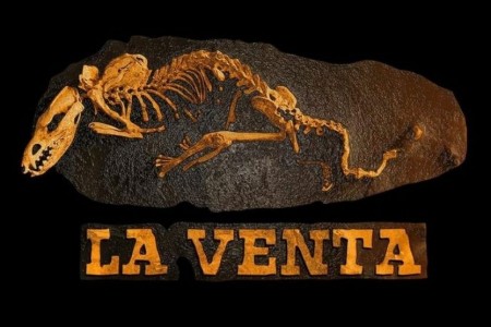 Image Alternative text