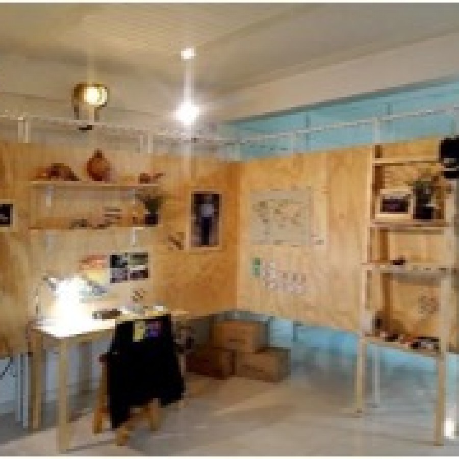 Paleontología hecha en casa