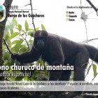 Arte y Cultura del Huila