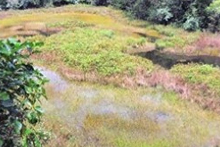 Humedal San Andrés
