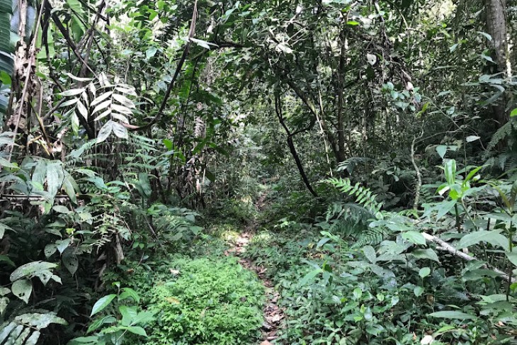 El Carraquí & el Barranquero