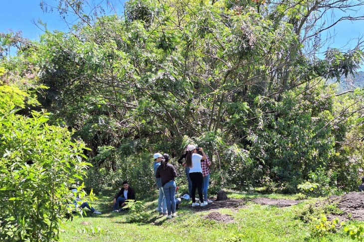 Finca cacao del viento