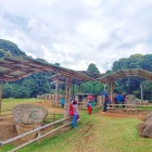 Arte y Cultura del Huila